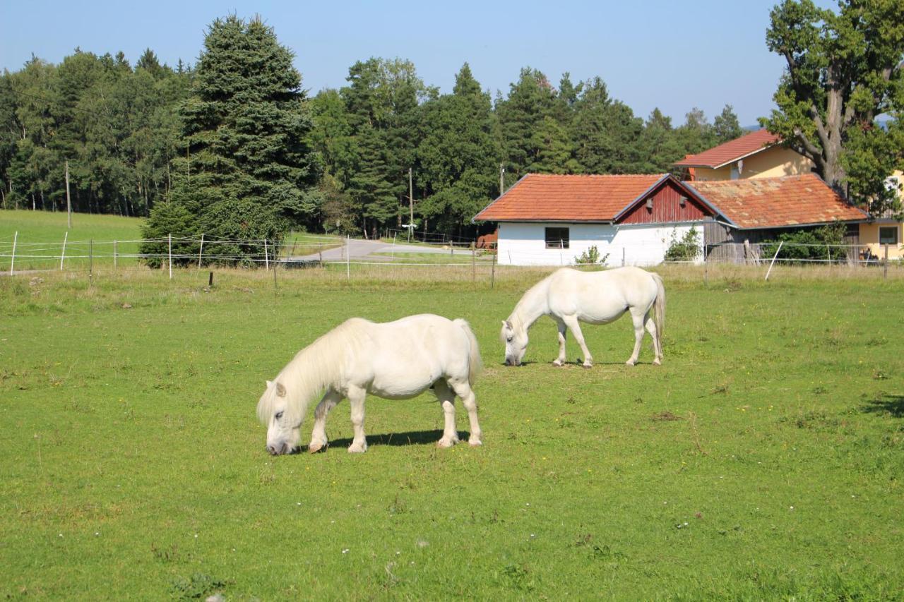 Apartamento Ponyhof Adam Urlaub Auf Dem Bauernhof Eschlkam Exterior foto